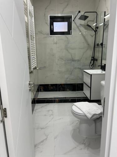 a bathroom with a shower and a toilet and a sink at Best Value Studio Primavara, Free Parking in Bucharest