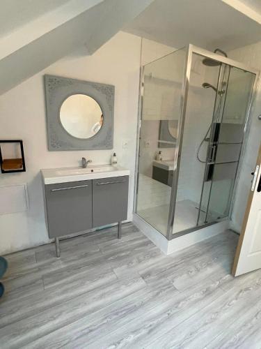 une salle de bain avec douche et lavabo dans l'établissement Les HIRONDELLES CHAMBRES HOTES 10 PERSONNES, à Festubert