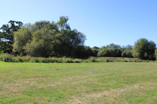 a large grass field with trees in the background at Château de Lannouan in Landévant