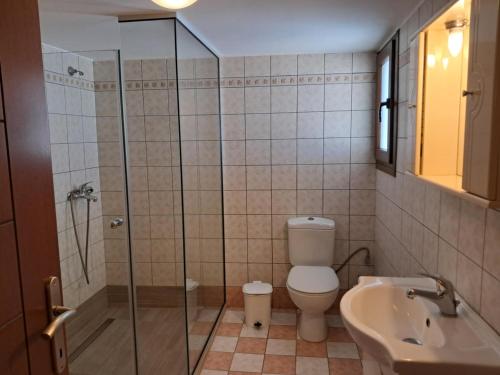 een badkamer met een douche, een toilet en een wastafel bij Koxylia apts in Mochlos
