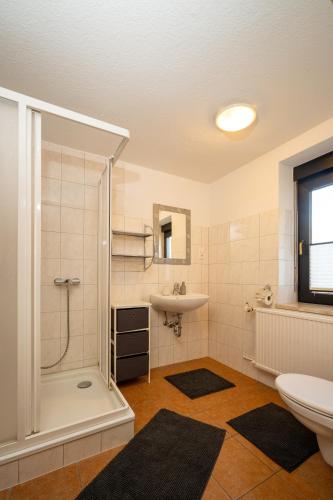 a bathroom with a shower and a toilet and a sink at Ferienwohnung Haus am Seeufer Steuerbord in Waren