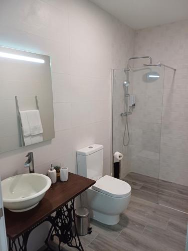 a bathroom with a toilet and a sink and a shower at Casa da Vila in Campo Maior