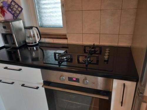 Kuchyň nebo kuchyňský kout v ubytování Apartments Anita