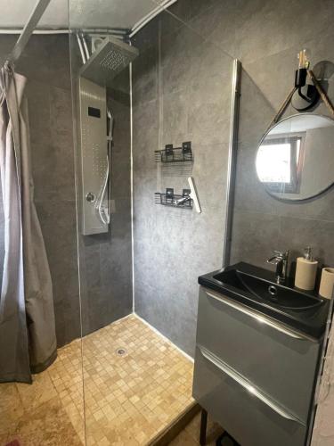 a bathroom with a shower and a sink at Petite maison de ville in Sainte-Maure-de-Touraine