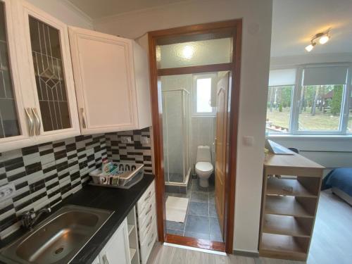 eine Küche mit einem Waschbecken und einem WC in der Unterkunft Apartmani Krčmarica 10 in Divčibare