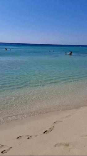 Φυσικό τοπίο κοντά σε αυτή η παραθεριστική κατοικία