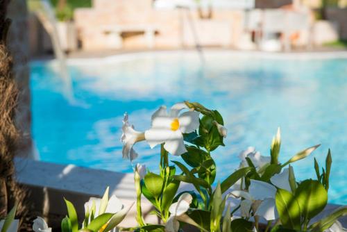 a white flower in front of a swimming pool at Hotel Eden Garda in Garda