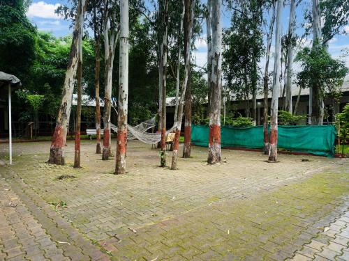 Gallery image of Collection O Orchard Resort in Pune