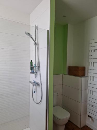 une salle de bain avec douche et toilettes dans l'établissement L'Iris au cœur de Corbie pour 4 pers, à Corbie