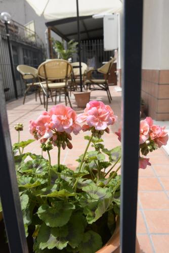 Zahrada ubytování B&B San Leonardo