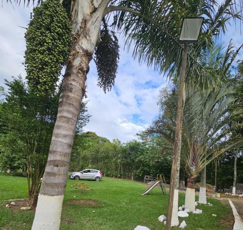 a palm tree and a light pole in a park at Chácara Falcão in Itapeva