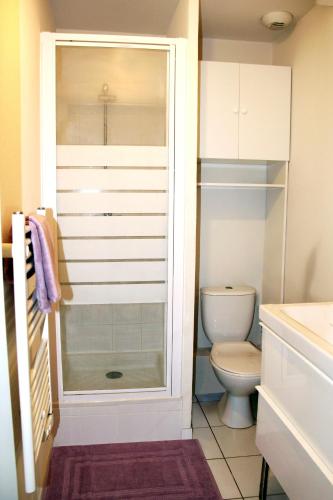 a bathroom with a toilet and a walk in shower at La Colombière - Vue imprenable sur l'Ardèche - Très Calme - Très bien situé - Résidence Privée in Montélimar