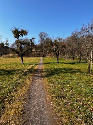 a dirt road in the middle of a field with trees at Kinderparadies Alt Lüxem in Wittlich