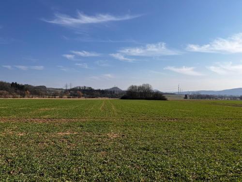 a large green field with a blue sky at Kinderparadies Alt Lüxem in Wittlich