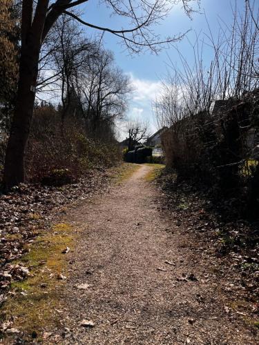 a dirt road with trees on the side of it at Kinderparadies Alt Lüxem in Wittlich