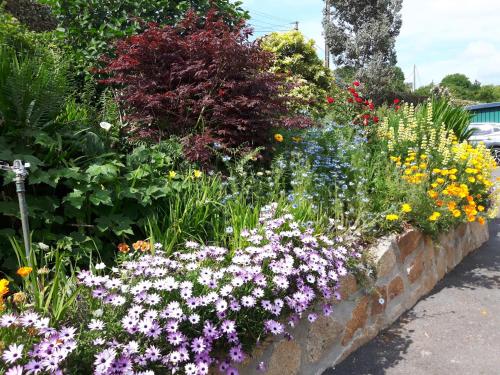 a garden of flowers in a brick wall at Bretagne FeWo Hortensia für 2 Personen, no Kids in Loperhet