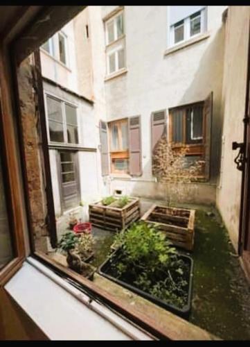 - une fenêtre donnant sur un jardin à l'extérieur du bâtiment dans l'établissement Loft, à Caluire-et-Cuire