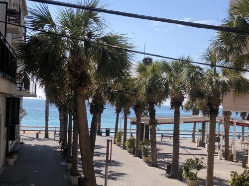 a row of palm trees on a sidewalk near the beach at Apartamento Levante Playa Torretjó in Benidorm