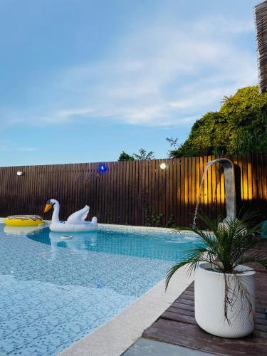a swimming pool with two swans in the water at Pousada Bella vista in Búzios