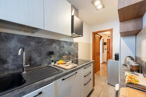 a kitchen with a sink and a counter at Montagne E Coccole - Happy Rentals in Pré-Saint-Didier