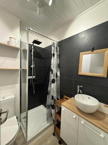 une salle de bain avec un lavabo et une douche dans l'établissement Appartement La Bresse, à La Bresse