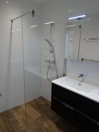 une salle de bain avec un lavabo et une douche en verre dans l'établissement Transat Saint Gilles Croix de Vie, à Saint-Gilles-Croix-de-Vie