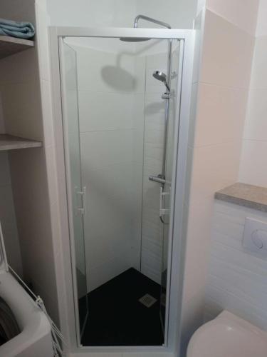 La salle de bains est pourvue d'une douche en verre et de toilettes. dans l'établissement Nacre Saint Gilles Croix de Vie, à Saint-Gilles-Croix-de-Vie