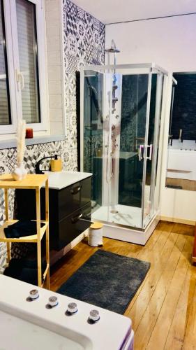 une salle de bain avec une douche en verre et un lavabo dans l'établissement Le Tropikspa, à Albert