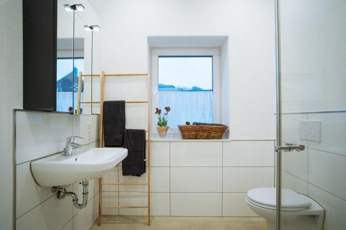a bathroom with a sink and a toilet and a window at Ferienwohnungen Maijeschhof in Pelm
