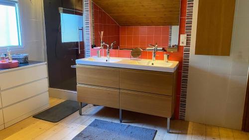 a bathroom with a sink and a shower at Maison Mélusine ossature bois forêt de Brocéliande in Néant-sur-Yvel