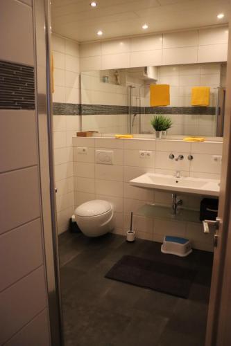 a bathroom with a toilet and a sink at Ferienwohnung Landblick in Pirmasens