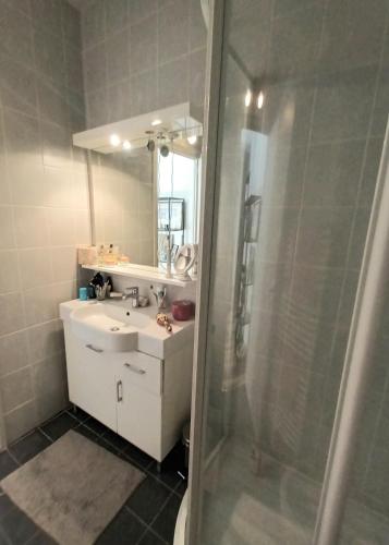 une salle de bain avec une douche, un lavabo et un miroir dans l'établissement Appartement T2 40 m2 rue du casino centre-ville climatisé 1 chambre balcon, à Aix-les-Bains