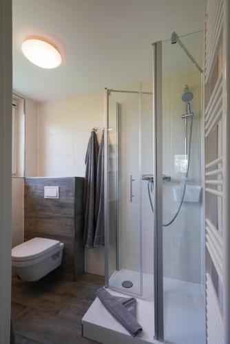 a bathroom with a glass shower and a toilet at Dünenhus Borkum in Borkum