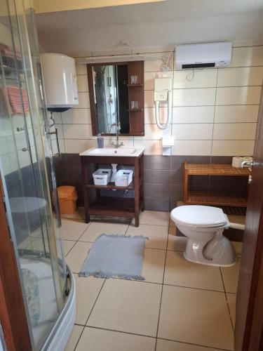 a bathroom with a toilet and a sink at Apartment Kristic 2 in Grabovac