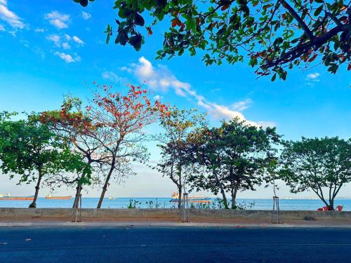 a row of trees on a sidewalk near the beach at Vung Tau Villa mini sát biển - Gitico Homestay in Vung Tau