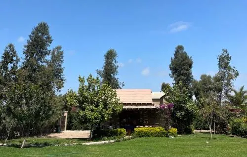 Bungalow 23
