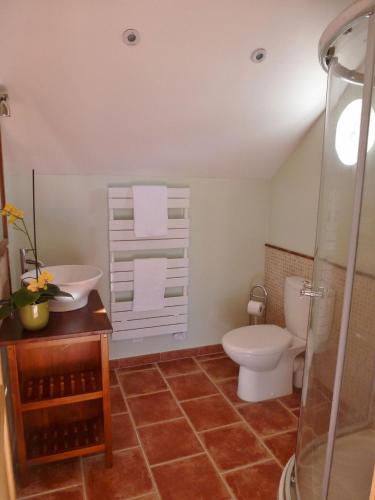 une salle de bain avec toilettes et lavabo dans l'établissement Charming cottage style property nestled in stunning French countryside near Carcassonne and Mirepoix, à Hounoux