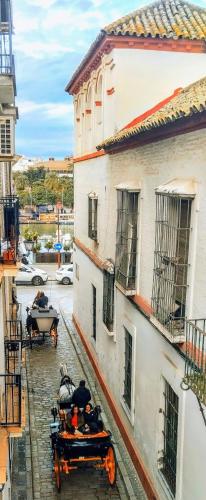 Apartamento luminoso céntrico Triana