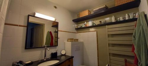 une salle de bain avec un lavabo et un miroir dans l'établissement La Némerie, à Vivoin