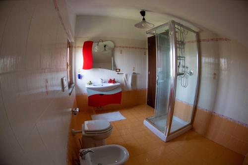 a bathroom with a shower and a toilet and a sink at Villa Anna in Genzano di Roma