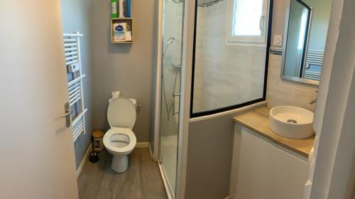 une salle de bain avec toilettes, lavabo et douche dans l'établissement maison campagne et mer 10 personnes, à Surville