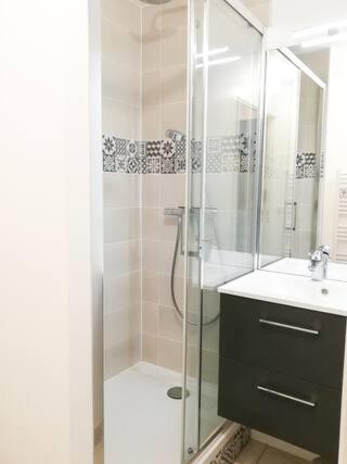 une salle de bain avec douche et lavabo dans l'établissement Superbe F2 avec balcon vue mer - 4 personnes, à Cabourg