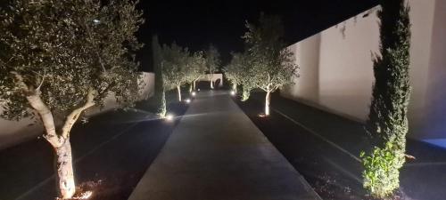 Photo de la galerie de l'établissement Villa signature piscine jacuzzi, à Nîmes
