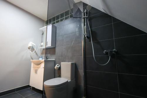 a bathroom with a toilet and a shower at N'konak Guesthouse in Pukë