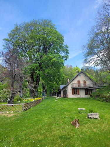 a cow laying in the grass in front of a house at Chalet d'Arvière in Lochieu