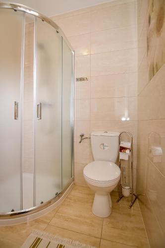 a bathroom with a toilet and a glass shower at U Pawlikowskich in Poronin