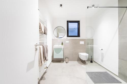 a bathroom with a shower and a toilet and a sink at NATURNEST Eifel in Daun