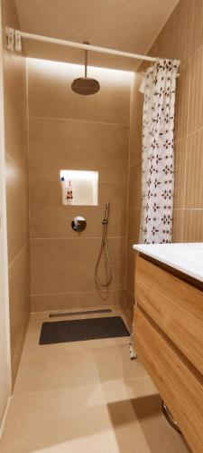 a bathroom with a shower with a shower curtain at Estudio centro de La Laguna in Las Lagunas