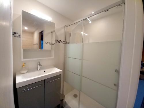 une salle de bain avec une douche en verre et un lavabo dans l'établissement Maison en bois, à Sulniac