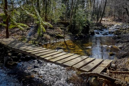 a wooden bridge over a stream in the woods at U Pawlikowskich in Poronin
